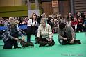 Crufts2011_2 1111